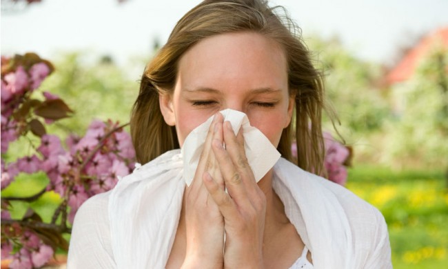 Septiembre el mes de las alergias
